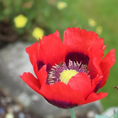 Riversdale House Only Accommodation, A98kd85