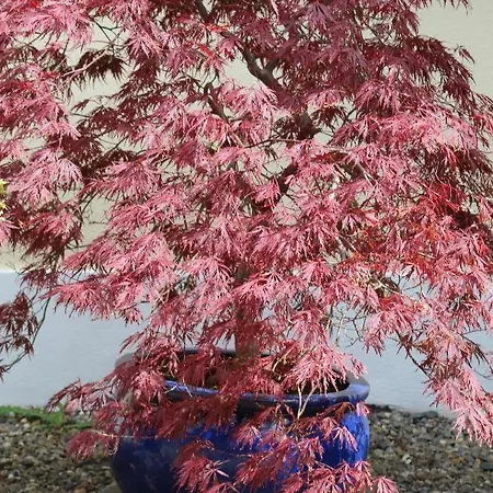 Riversdale House Only Accommodation, A98kd85 Πανσιόν