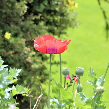 Riversdale House Only Accommodation, A98kd85 Guest house 3*