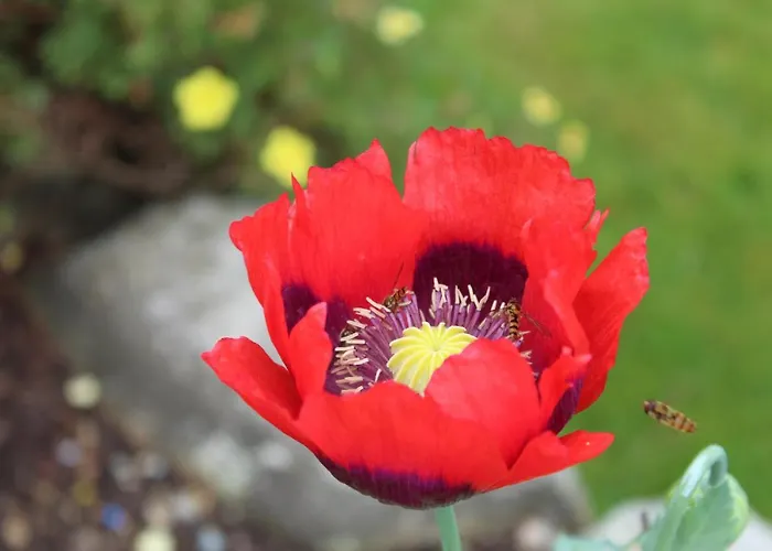 Riversdale House Only Accommodation, A98kd85