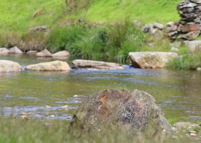 Riversdale House Only Accommodation, A98kd85 Gæstehus