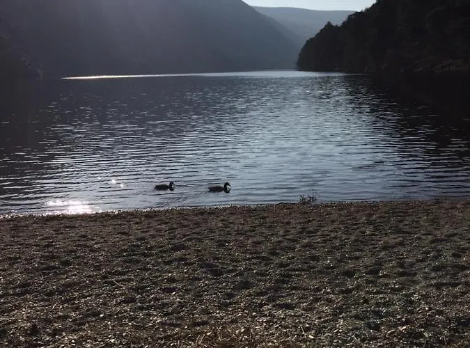 Riversdale House Only Accommodation, A98kd85 Gæstehus Brockagh