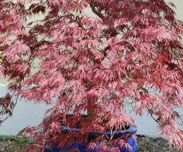 Riversdale House Only Accommodation, A98kd85 Gæstehus